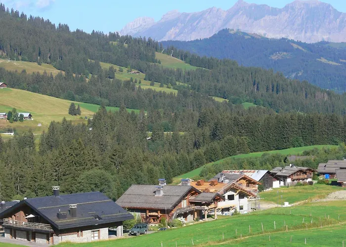 Appartement View Sur Arly E10 - Happy *